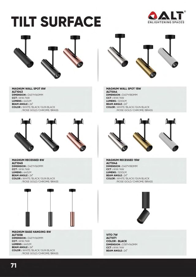 ALT Magnum Wall Spot / Recessed / Base Hanging - catalogue photo
